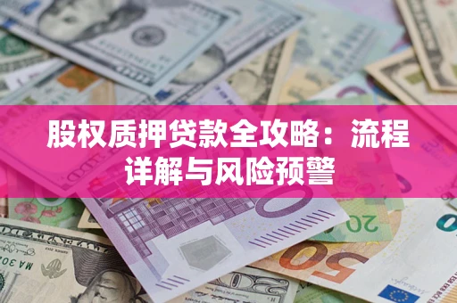武汉股权质押贷款全攻略：流程详解与风险预警