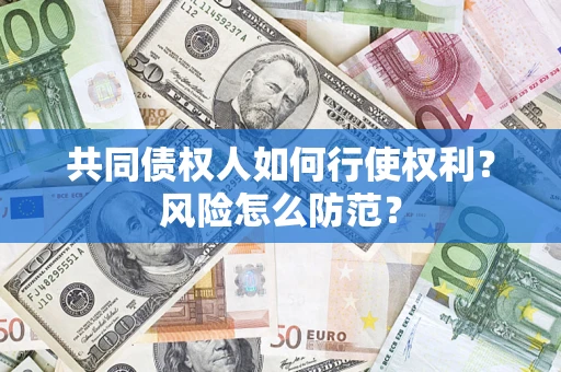 武汉共同债权人如何行使权利？风险怎么防范？