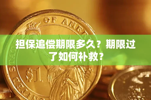 武汉担保追偿期限多久？期限过了如何补救？
