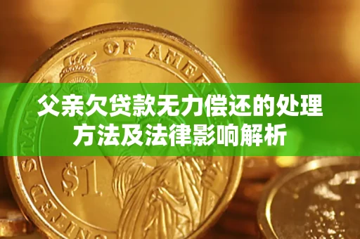 武汉父亲欠贷款无力偿还的处理方法及法律影响解析