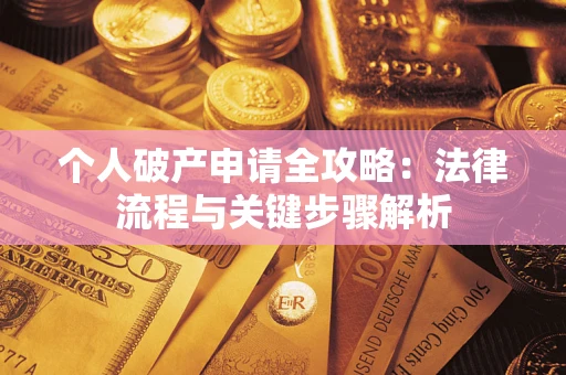 武汉个人破产申请全攻略：法律流程与关键步骤解析